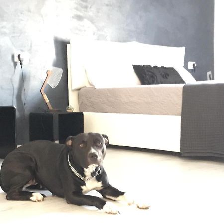 B&B Le Stanze Al Centro 아그리젠토 외부 사진
